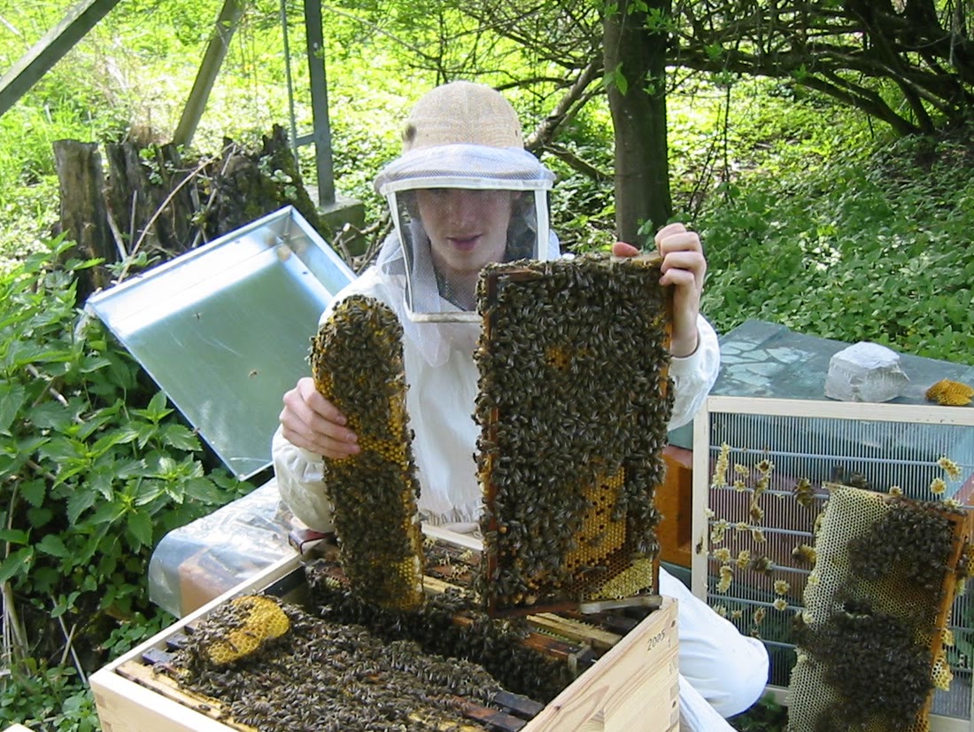Winfried Ruhs in 2006 in a bee suit, holding a frame covered in bees
